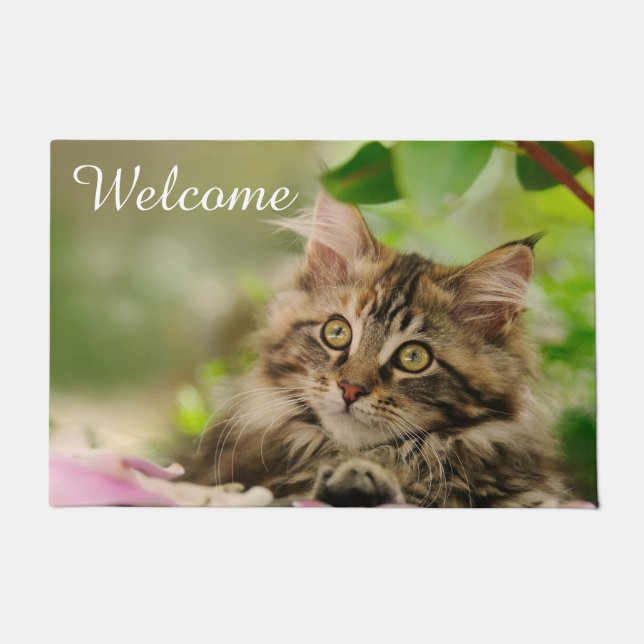 Cute Maine Coon Cat Kitten Photo on  Entry Welcome Doormat (Front)