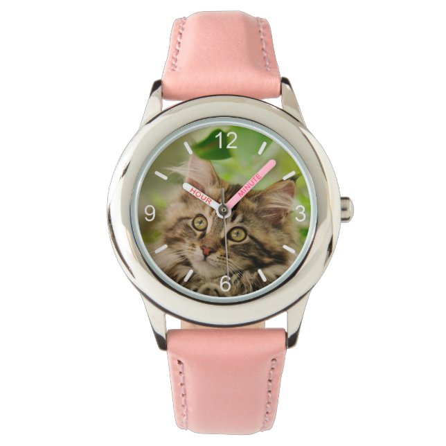 Cute Maine Coon Cat Kitten Portrait - dial-plate Watch (Front)