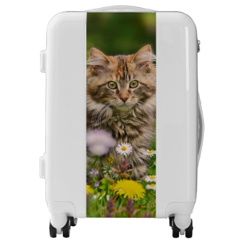 Cute Maine Coon Kitten Cat Flower Meadow  Suitcase
