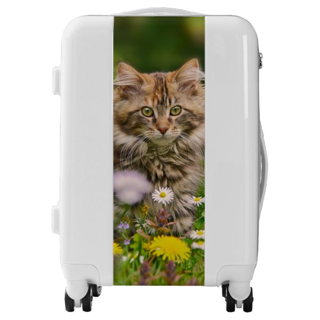 Cute Maine Coon Kitten Cat Flower Meadow  Suitcase (Front)