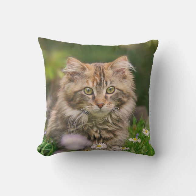 Cute Maine Coon Kitten Cat Flowers - for Outside Throw Pillow (Front)
