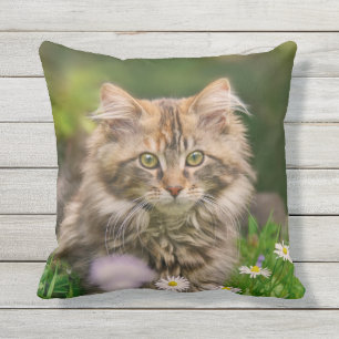 Cute Maine Coon Kitten Cat Flowers - for Outside Throw Pillow