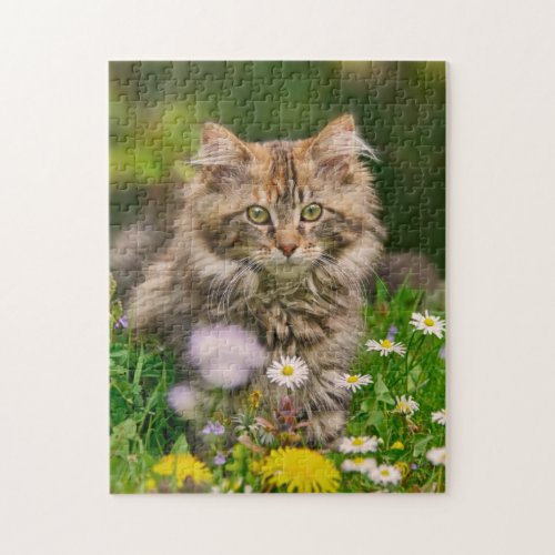 Cute Maine Coon Kitten Cat Flowers _ Game Jigsaw Jigsaw Puzzle