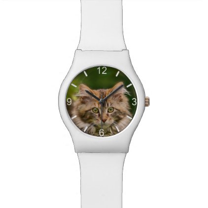 Cute Maine Coon Kitten Cat Head Photo - dial-plate Wristwatch