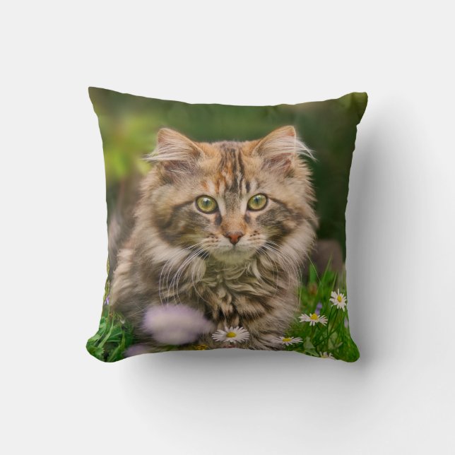Cute Maine Coon Kitten Cat in a Flower Meadow - Throw Pillow (Front)