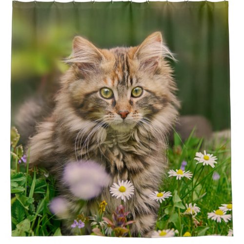 Cute Maine Coon Kitten Cat in a Flower Meadow Tub Shower Curtain