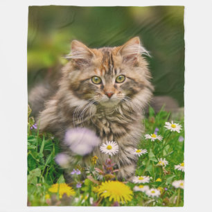 Cute Maine Coon Kitten Cat in Flower Meadow - Fleece Blanket