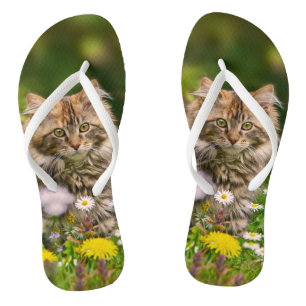 Cute Maine Coon Kitten Cat in Flower Meadow Photo Flip Flops