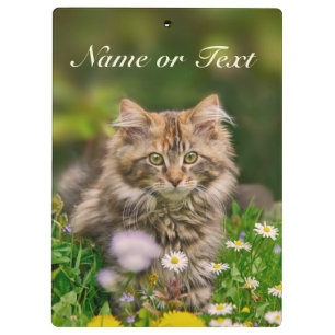 Cute Maine Coon Kitten Cat in Meadow Personalized Clipboard