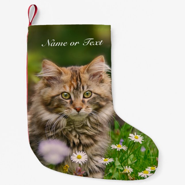 Cute Maine Coon Kitten Cat -  mantle Personalized Small Christmas Stocking (Front)