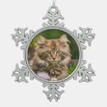 Cute Maine Coon Kitten Cat Portrait Photo ** Snowflake Pewter Christmas Ornament at Zazzle