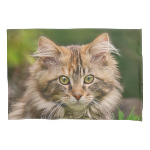 Cute Maine Coon Kitten Cat Portrait - Pillow-Cover Pillow Case