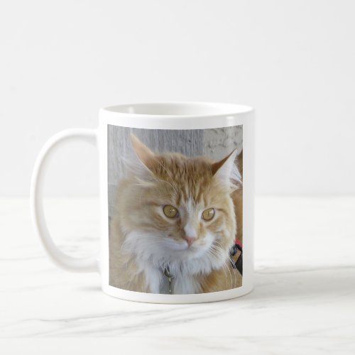 Cute Maine Coon Kitten Close_Up Photograph Coffee Mug