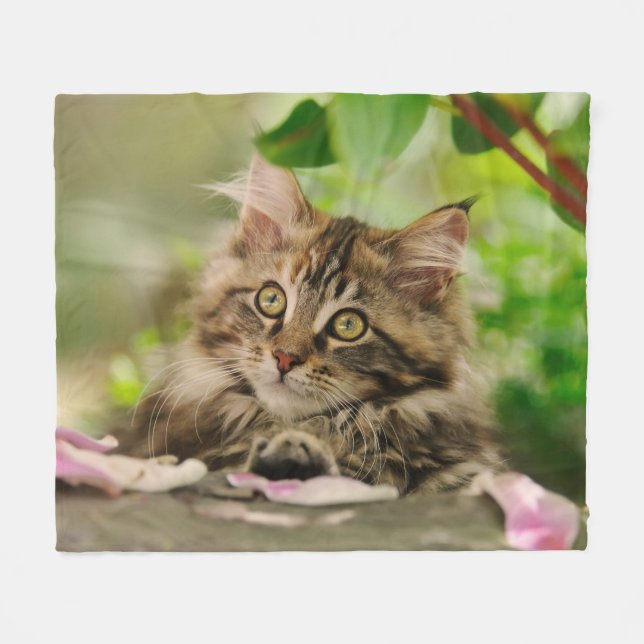 Cute Maine Coon Kitten cozy Fleece Blanket (Front (Horizontal))