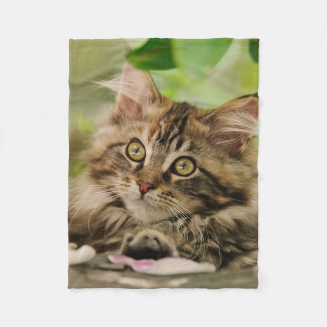 Cute Maine Coon kitten Fleece Blanket (Front)