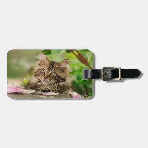 Cute Maine Coon kitten Luggage Tag
