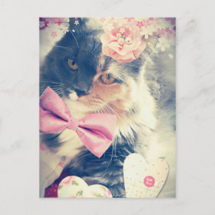 Cute Maine Coon Kitten Retro Style Postcard
