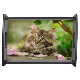 Cute Maine Coon kitten Serving Tray