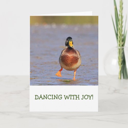 Cute Mallard Duck Nature Birthday Card