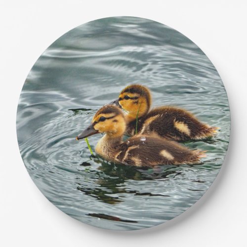 Cute Mallard Ducklings Photo Paper Plates