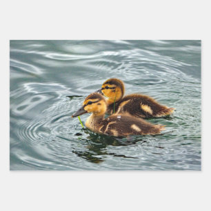 Cute Mallard Ducklings Photo Wrapping Paper Sheets
