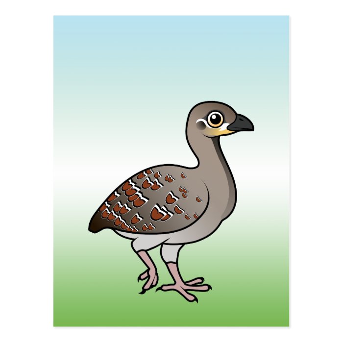 Cute Malleefowl Post Card