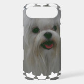 Cute Maltese Case-Mate iPhone Case (Back)