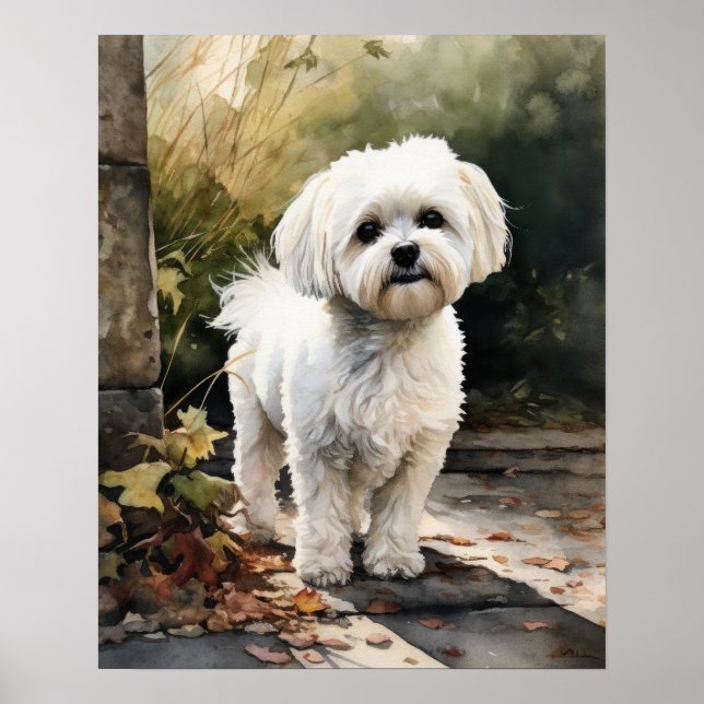 Cute Maltese Dog Art Print Poster (Front)