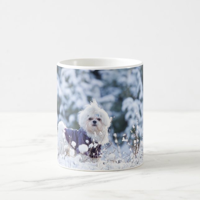Cute Maltese Dog Coffee Mug (Center)