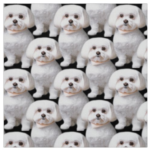 Cute Maltese Dog Fabric