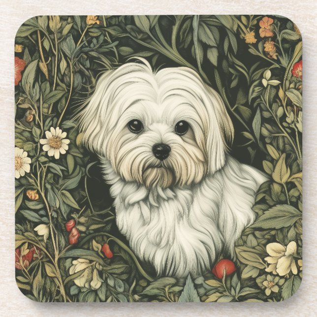 Cute Maltese Dog in a William Morris Style Garden Beverage Coaster (Front)