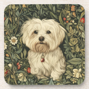 Cute Maltese Dog in a William Morris Style Garden Beverage Coaster