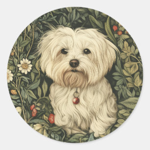 Cute Maltese Dog in a William Morris Style Garden Classic Round Sticker