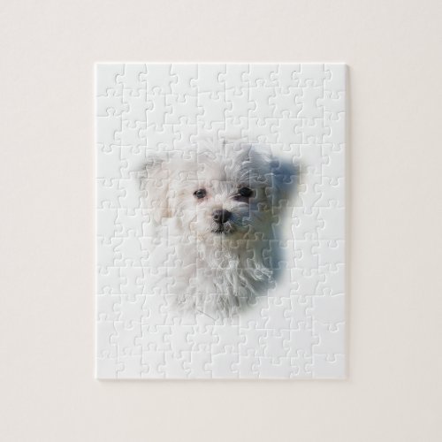 Cute Maltese Dog Jigsaw Puzzle