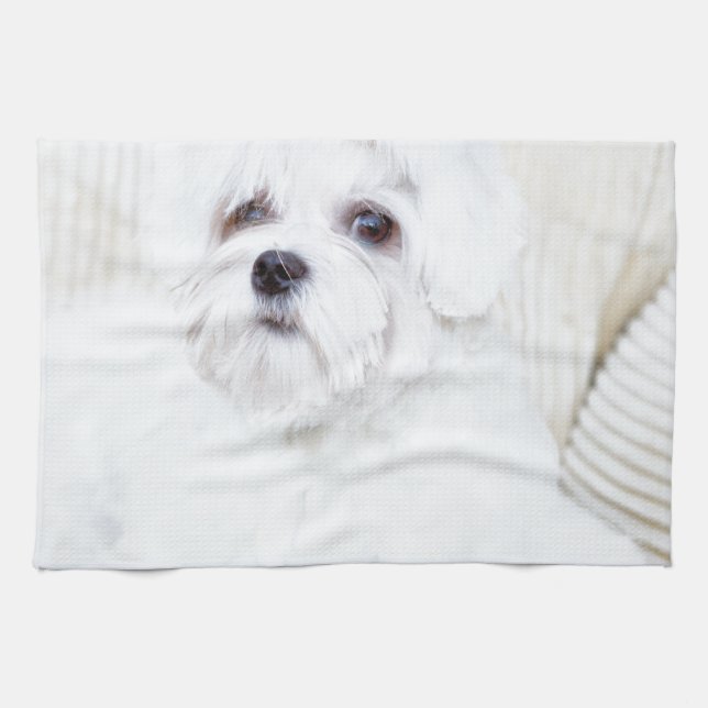 Cute Maltese Dog Kitchen Towel (Horizontal)