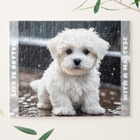 Cute Maltese Dog Puppy Fall Rain Custom Name