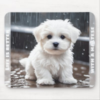 Cute Maltese Dog Puppy Fall Rain Custom Name