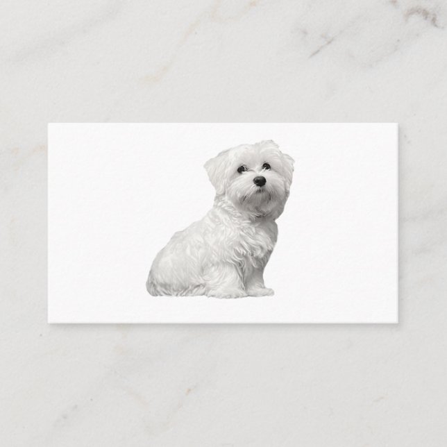 Cute Maltese Dog Sitting Puppy Business Card (Front)