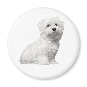 Cute Maltese Dog Sitting Puppy Magnet