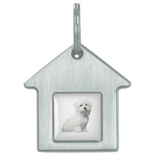 Cute Maltese Dog Sitting Puppy Pet ID Tag