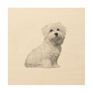Cute Maltese Dog Sitting Puppy Wood Wall Art