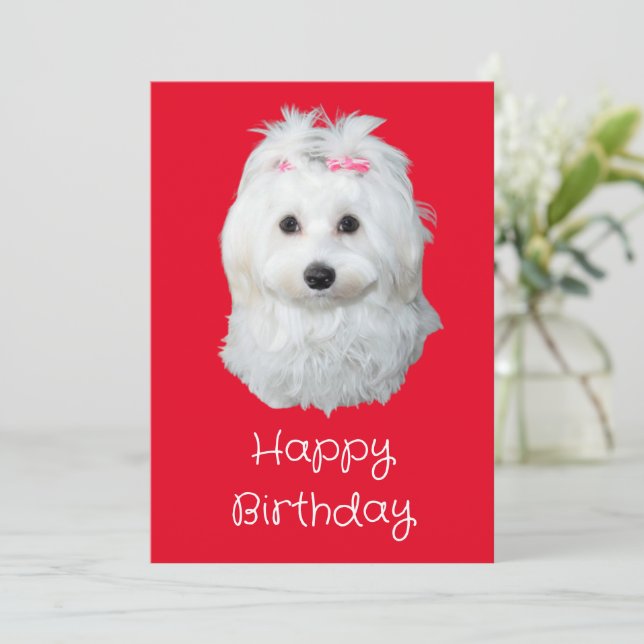 Cute Maltese Dog White Puppy Photo Holiday Card (Standing Front)