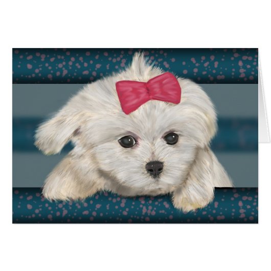 Cute Maltese Dog with Creme Fur and Red Ribbon (Front Horizontal)
