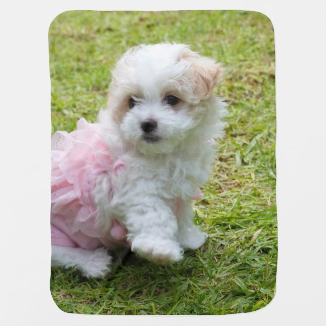 Cute Maltese Poodle Baby Blanket (Front)