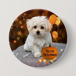 Cute Maltese Puppy Celebrates Halloween Button