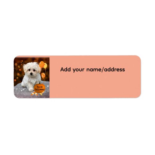 Cute Maltese Puppy Celebrates Halloween  Label