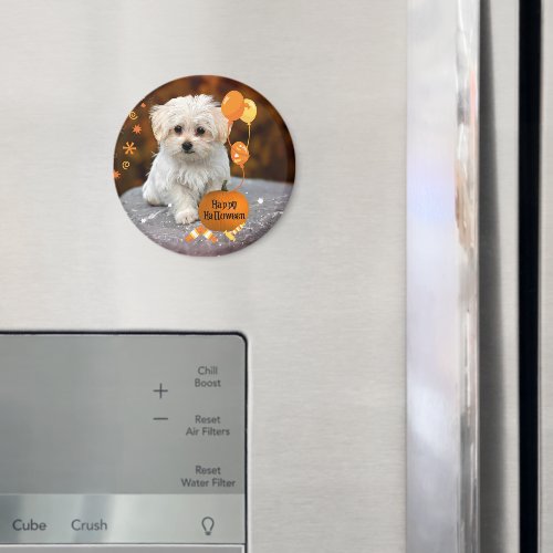 Cute Maltese Puppy Celebrates Halloween  Magnet
