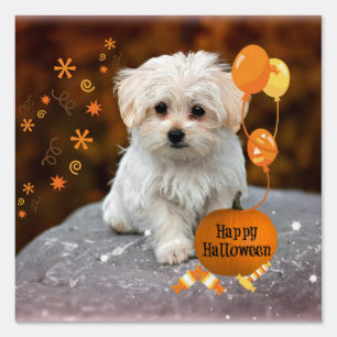 Cute Maltese Puppy Celebrates Halloween Sign