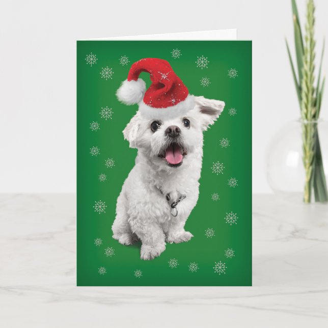 Cute Maltese Terrier With Santa Hat Christmas Holiday Card (Front)