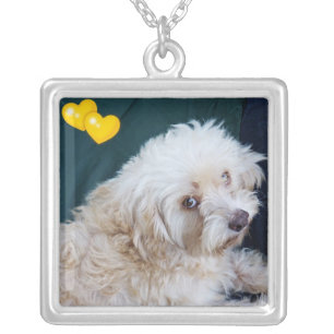 Cute Maltipoo pup valentine necklace